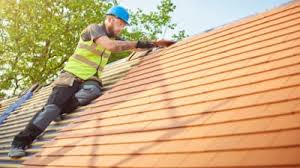 Best Roof Maintenance and Cleaning  in Mount Prospect, IL