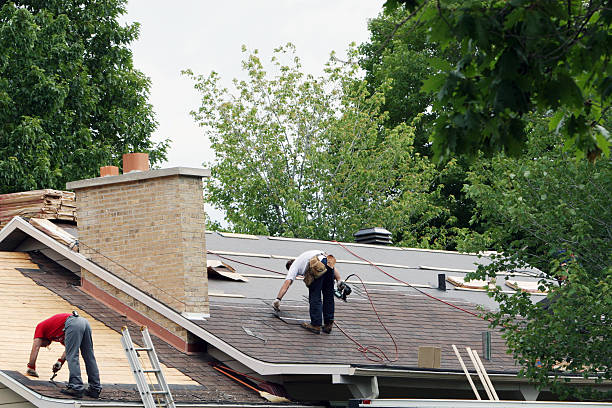 Steel Roofing in Mount Prospect, IL