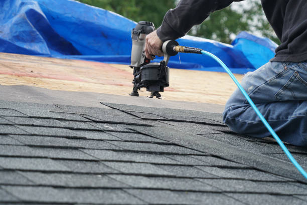 Best Roof Ventilation Installation  in Mount Prospect, IL